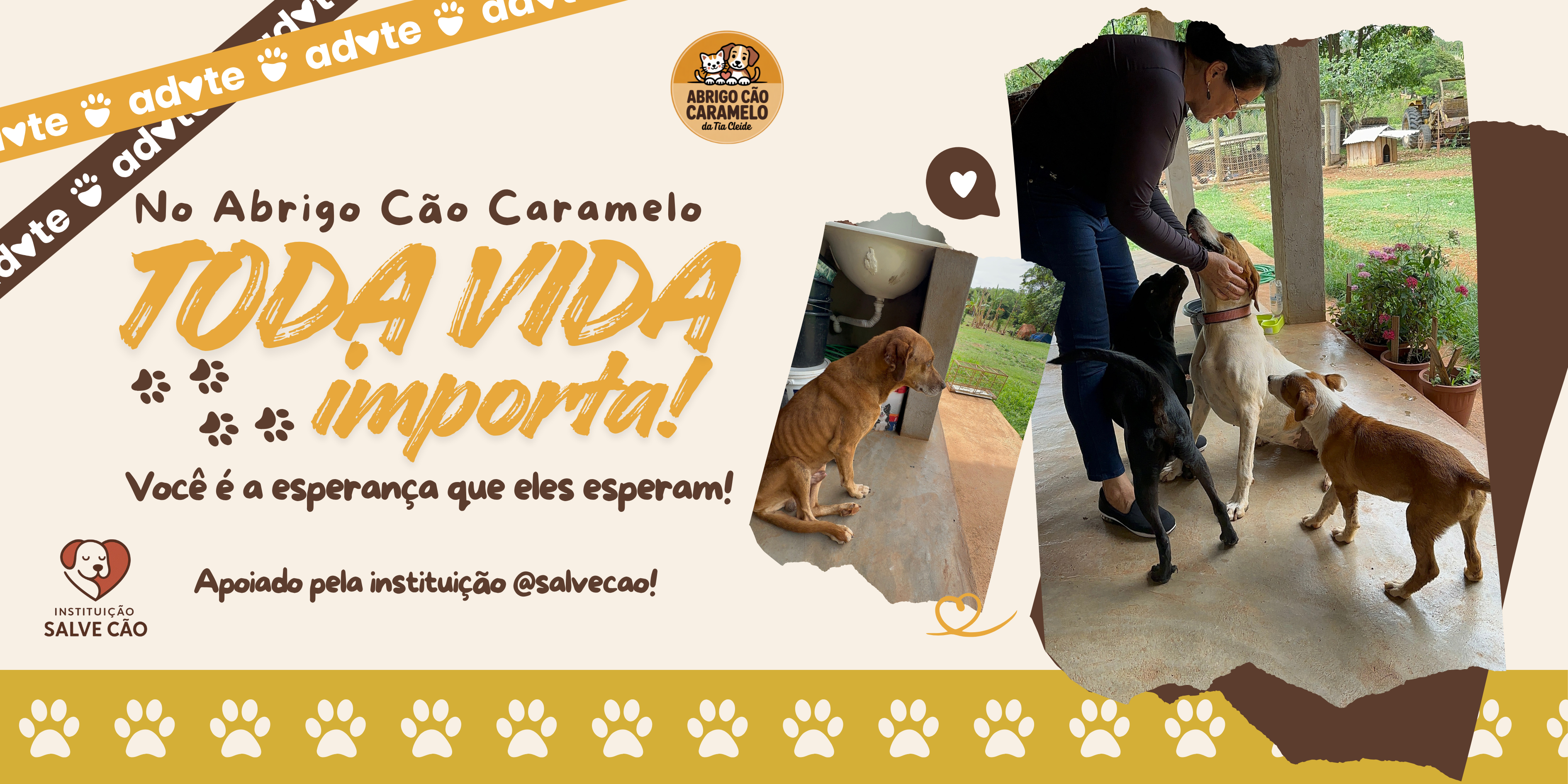 Capa do Refúgio com resgates e histórias reais