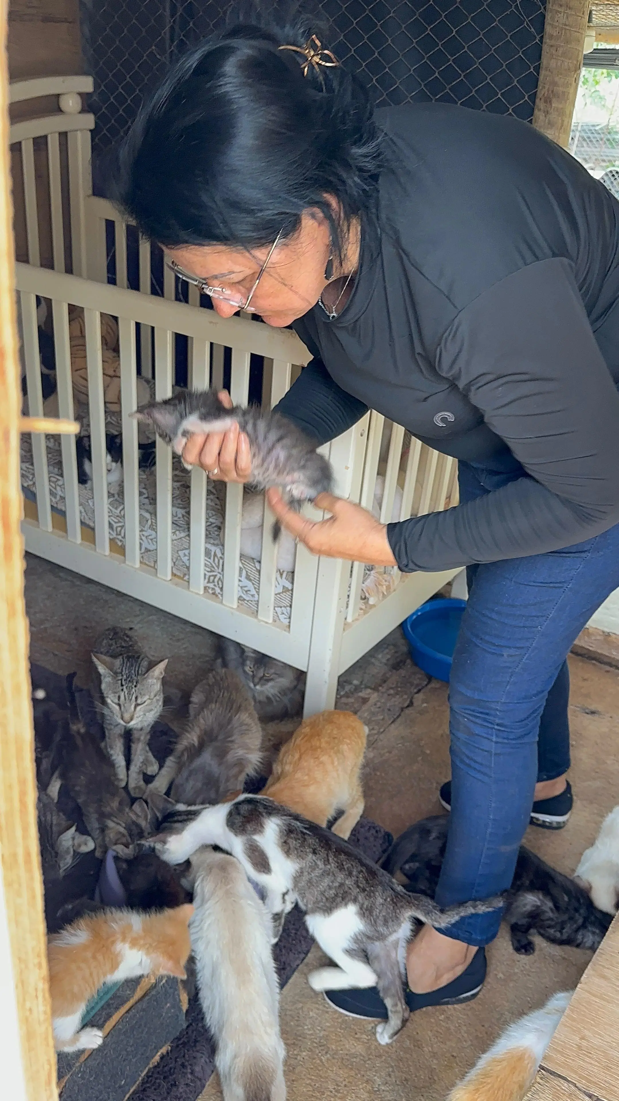 Resgate e cuidado no refúgio